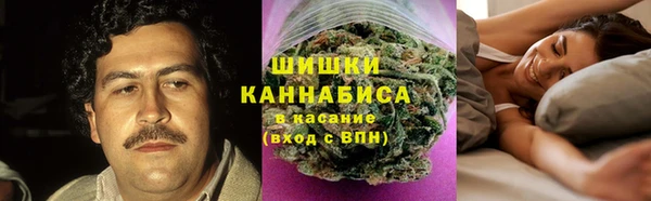 шишки Абинск