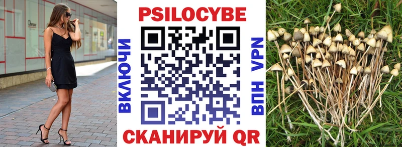 Галлюциногенные грибы Psilocybe  Тында 